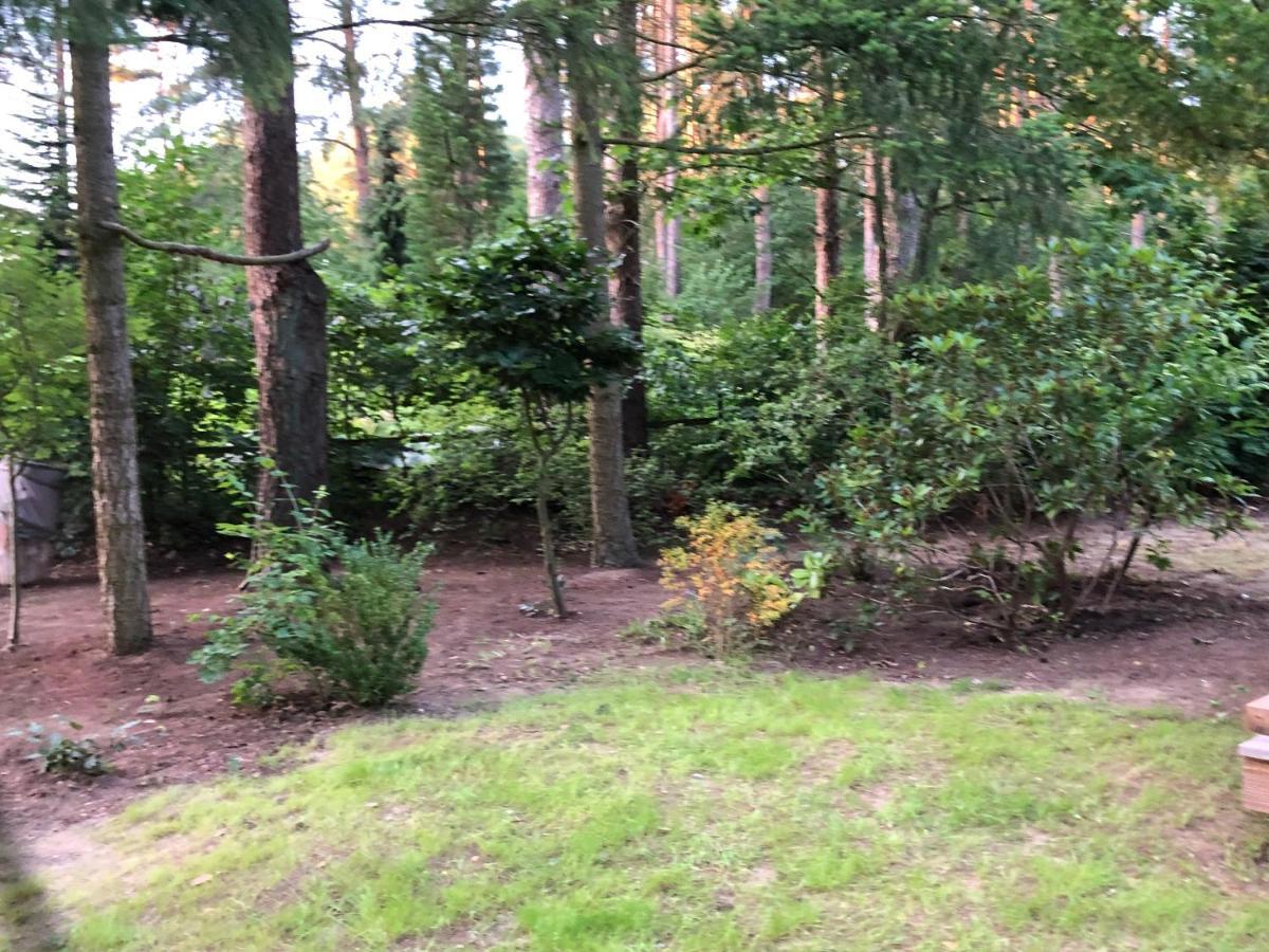 Ferienhaus Reetdach 1300Qm Privatgrundstueck Bootssteg Sauna Templin Luebbesee Uckermark Erholung Pur Seenplatte Petersdorf  Bagian luar foto