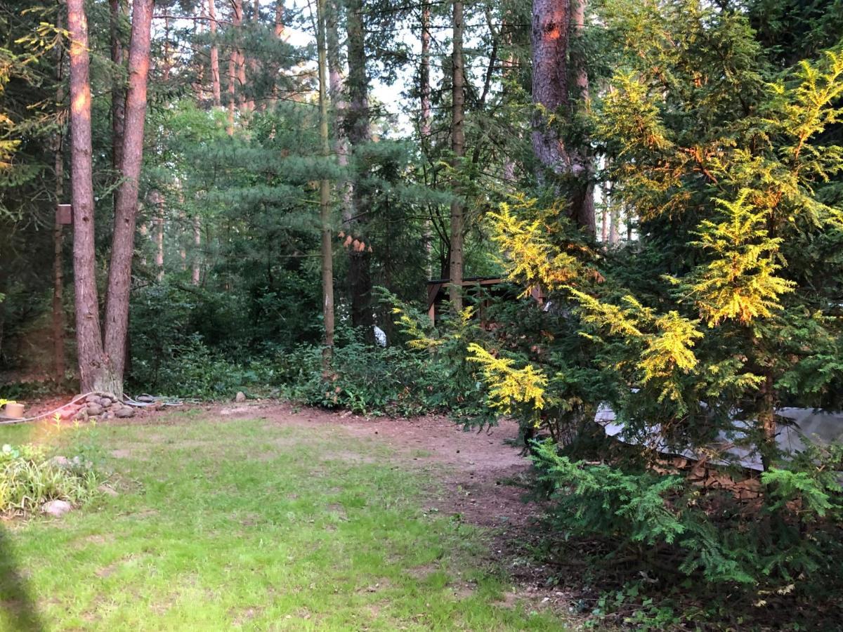 Ferienhaus Reetdach 1300Qm Privatgrundstueck Bootssteg Sauna Templin Luebbesee Uckermark Erholung Pur Seenplatte Petersdorf  Bagian luar foto